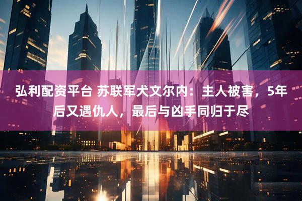弘利配资平台 苏联军犬文尔内：主人被害，5年后又遇仇人，最后与凶手同归于尽