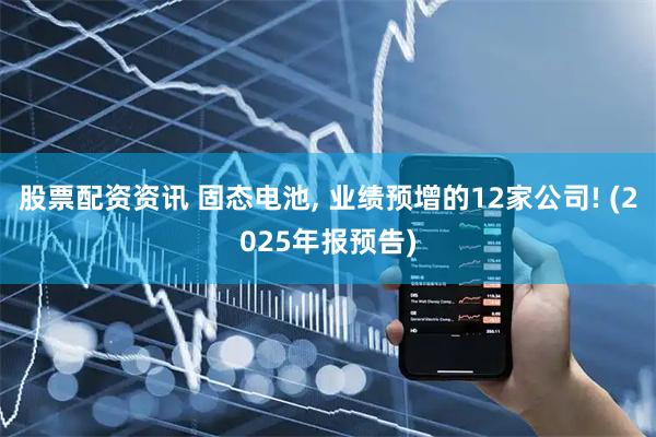 股票配资资讯 固态电池, 业绩预增的12家公司! (2025年报预告)