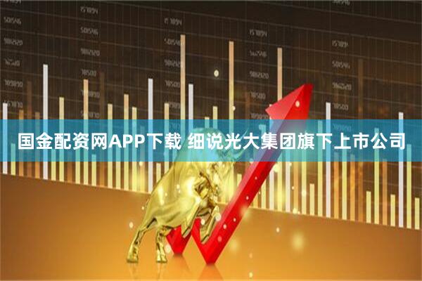 国金配资网APP下载 细说光大集团旗下上市公司